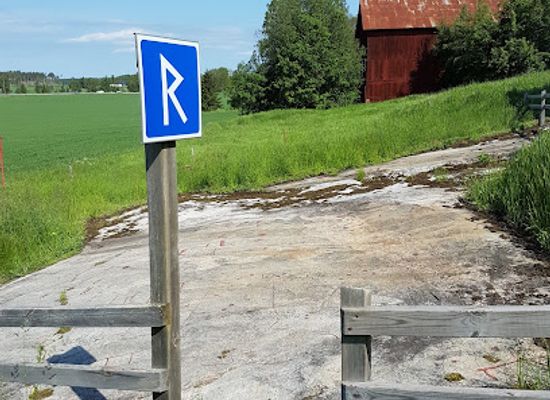 sweden/smaland/attraction/haljesta-petroglyphs