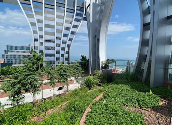 singapore/sentosa/attraction/sky-garden-at-capitaspring