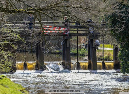 netherlands/eindhoven/attraction/dommel-bridge-and-kayak-feature