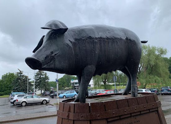 estonia/viljandimaa/attraction/sculpture-pig