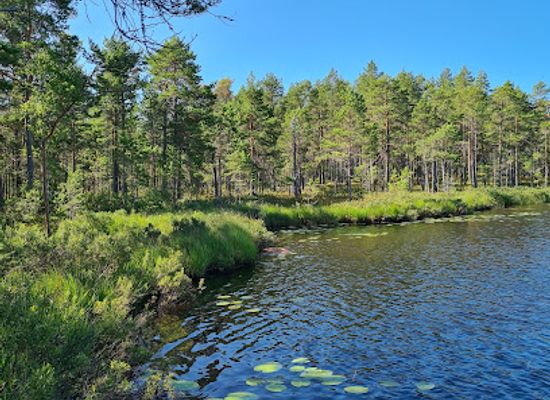 sweden/vastmanland/attraction/lappland-naturreservat