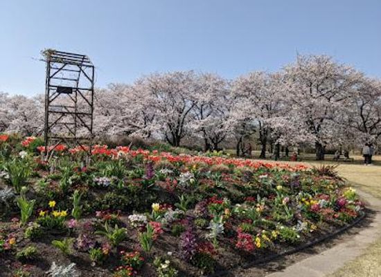 japan/hida/attraction/botanic-gardens-of-toyama