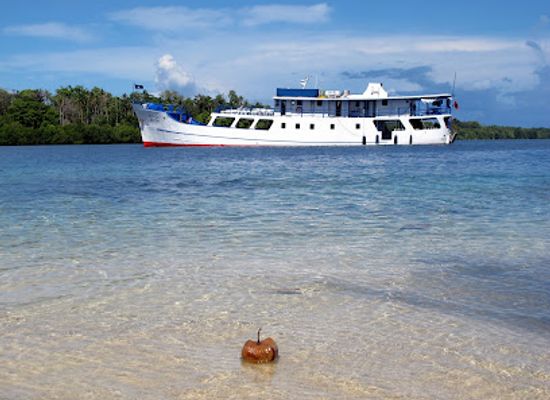solomon-islands/bonegi-beach/attraction/bilikiki-cruises
