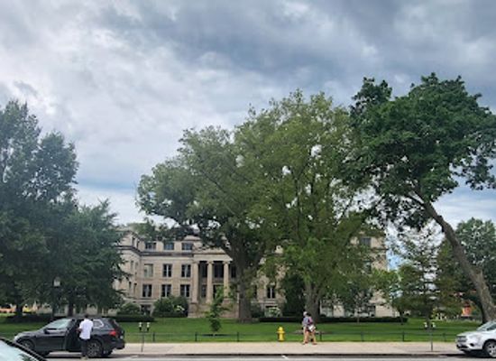 iowa/iowa-city/attraction/university-of-iowa-museum-of-natural-history