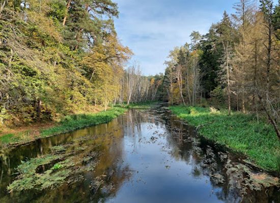 poland/olsztyn/attraction/olsztynski-las-miejski