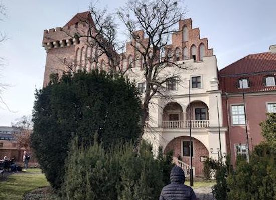 poland/poznan/attraction/royal-castle