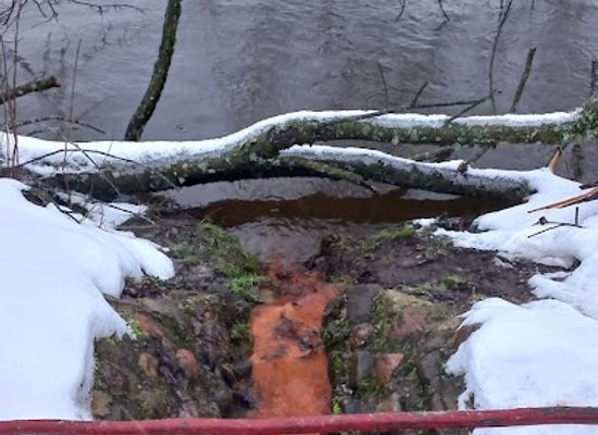 lithuania/anyksciai-treetop-walking-path/attraction/saltinis