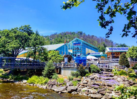 tennessee/appalachian-mountains/attraction/ripley-s-aquarium-of-the-smokies