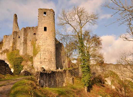 belgium/condroz/attraction/chateau-fort-de-montaigle