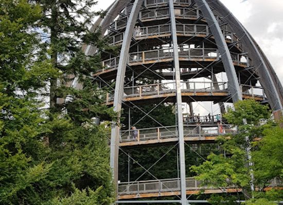 germany/bavarian-forest-national-park/attraction/baumwipfelpfad-bavarian-forest