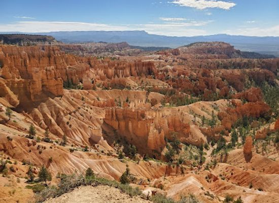 utah/bryce-canyon-city/attraction/dixie-national-forest