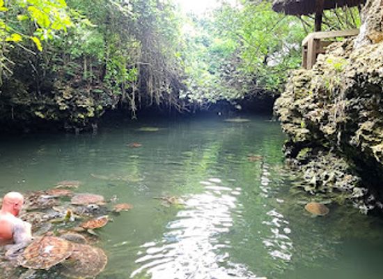 tanzania/zanzibar-island/attraction/swim-with-turtles-sanctuary-zanzibar