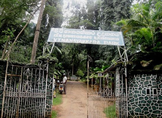 sri-lanka/matale-district/attraction/v-t-nanayakkara-park