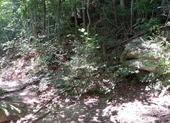 romania/ramnicu-valcea/attraction/ciuperca-pietroasa