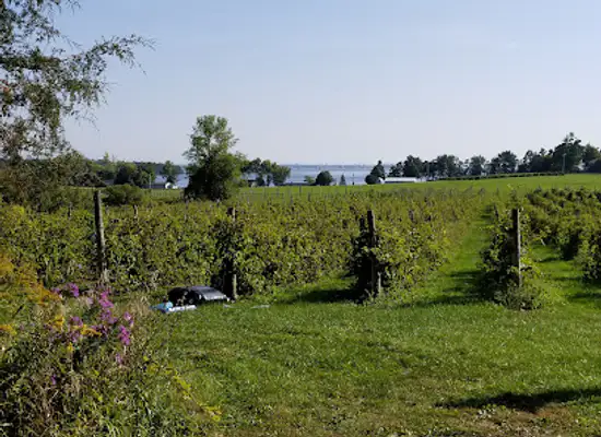 vermont/lake-champlain/attraction/snow-farm-vineyard-winery