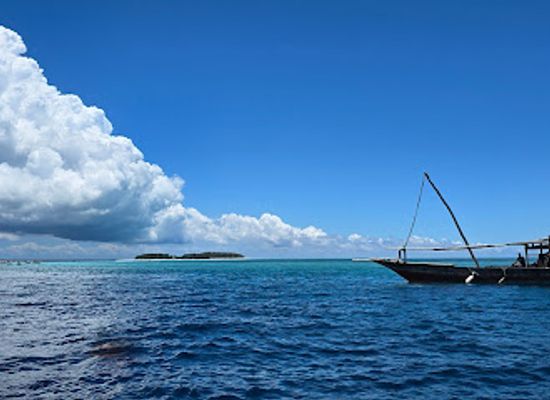 tanzania/zanzibar-archipelago/attraction/snorkeling-zone