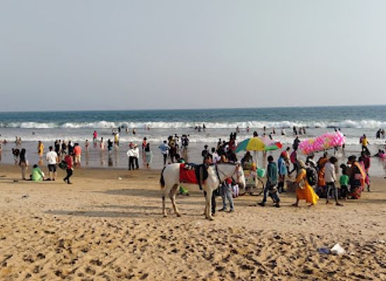 india/east-india/attraction/eco-retreat-odisha