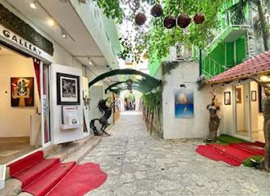 mexico/cozumel/attraction/gaston-charo-gallery