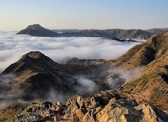 djibouti/loyada/attraction/day-forest-national-park