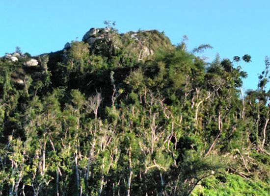 puerto-rico/caribbean-national-forest/attraction/muelle-punta-santiago