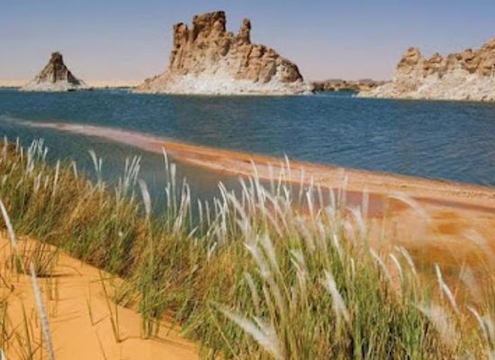 chad/lake-chad/attraction/zakouma-national-park