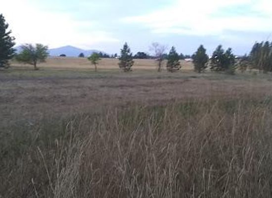washington/the-palouse/attraction/n-idaho-centennial-trail