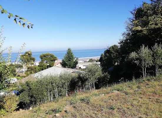 chile/concepcion/attraction/playa-blanca
