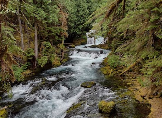 oregon/lane-county/attraction/mckenzie-river-national-recreation-trail
