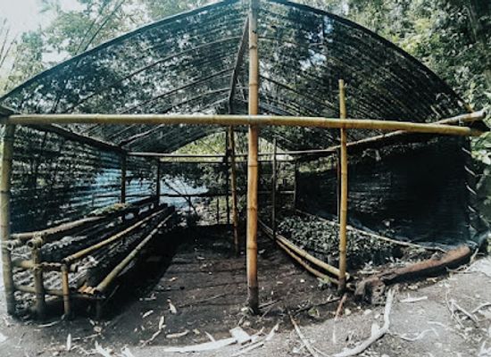 indonesia/banda-islands/attraction/banda-marine-station