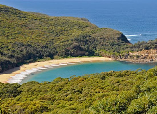 australia/mid-west/attraction/bouddi-national-park