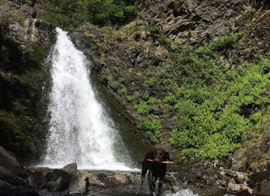 oregon/hood-river/attraction/dog-creek-falls