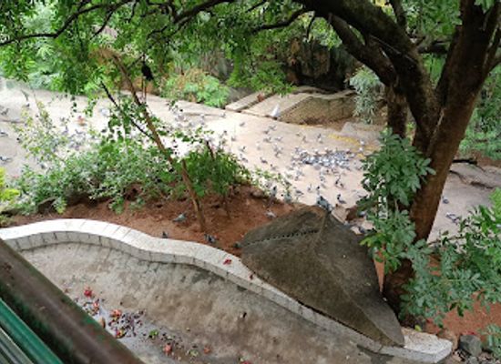india/bengaluru/attraction/bull-rock-park-selfie-point