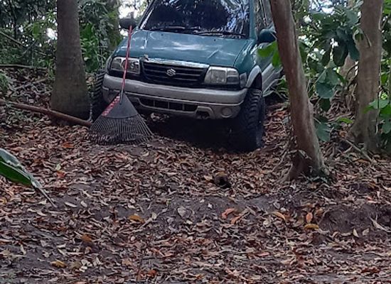 barbados/harrison-s-cave/attraction/tore-offroad-park-top