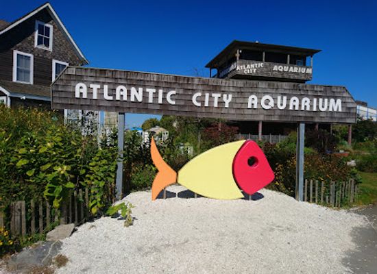 new-jersey/atlantic-city/attraction/atlantic-city-aquarium