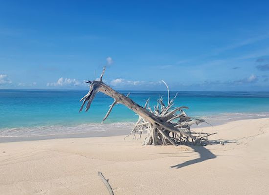 the-bahamas/cat-island/attraction/man-o-war-beach