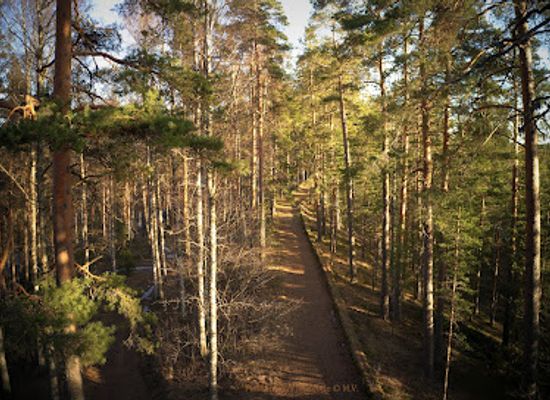 finland/savonlinna/attraction/punkaharju-museum-road