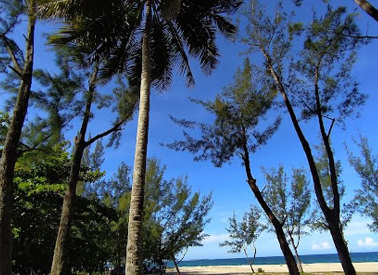 madagascar/toamasina/attraction/filao-kessaria