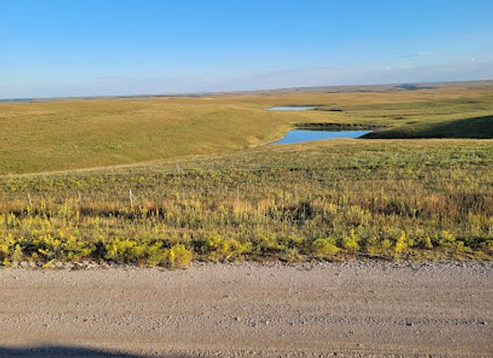 kansas/bluestem-pasture/attraction/bazaar-cattle-pens
