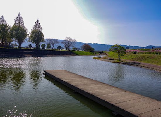 japan/chikugo/attraction/cosmos-park