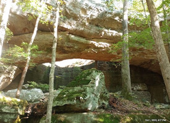 illinois/illinois-ozarks/attraction/bell-smith-springs-natural-bridge-trailhead