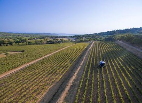 france/provence/attraction/domaine-des-tournels