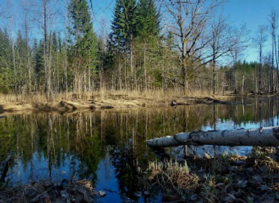 estonia/parnumaa/attraction/beaver-trail