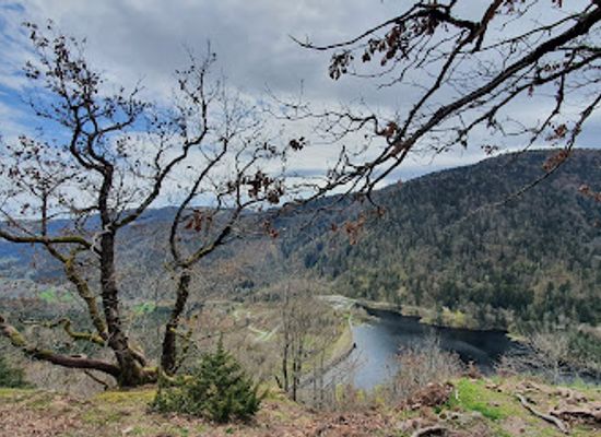 france/vosges-mountains/attraction/cascade-du-wasserfall