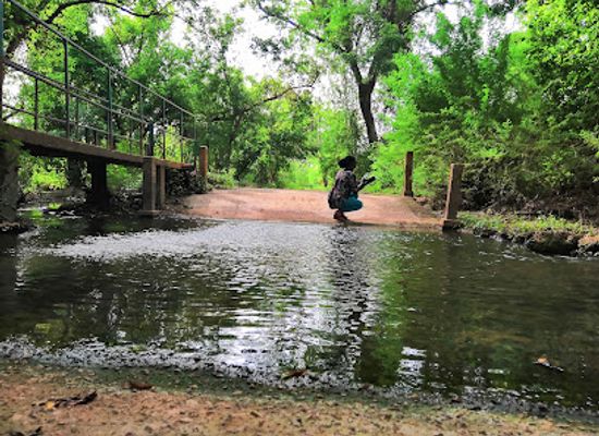 burkina-faso/cascades/attraction/parc-bangr-weogo