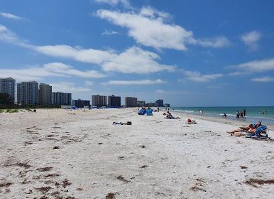 florida/clearwater/attraction/sand-key-park