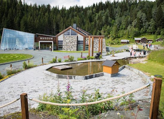 norway/rauland/attraction/vest-telemark-museum-eidsborg