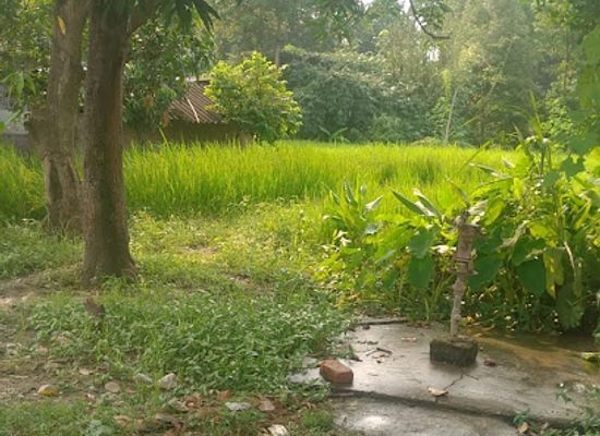 nepal/seti-zone/attraction/mahendranagar