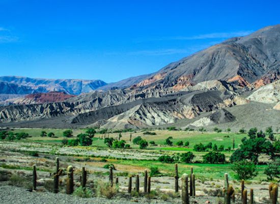 argentina/salta/attraction/parque-nacional-los-cardones