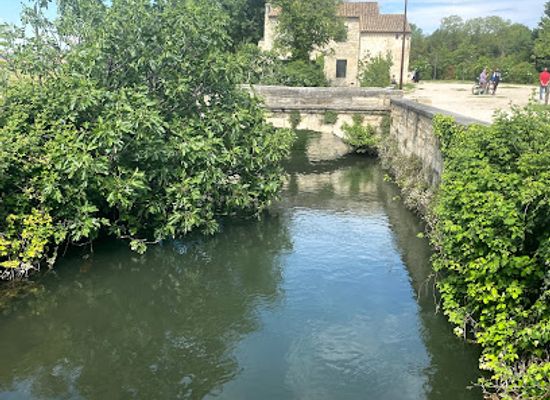 france/avignon/attraction/parc-chico-mendes