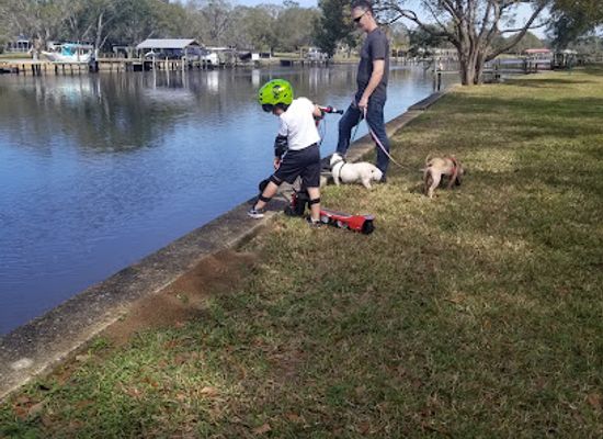 florida/tampa/seminole-heights/attraction/rivercrest-park